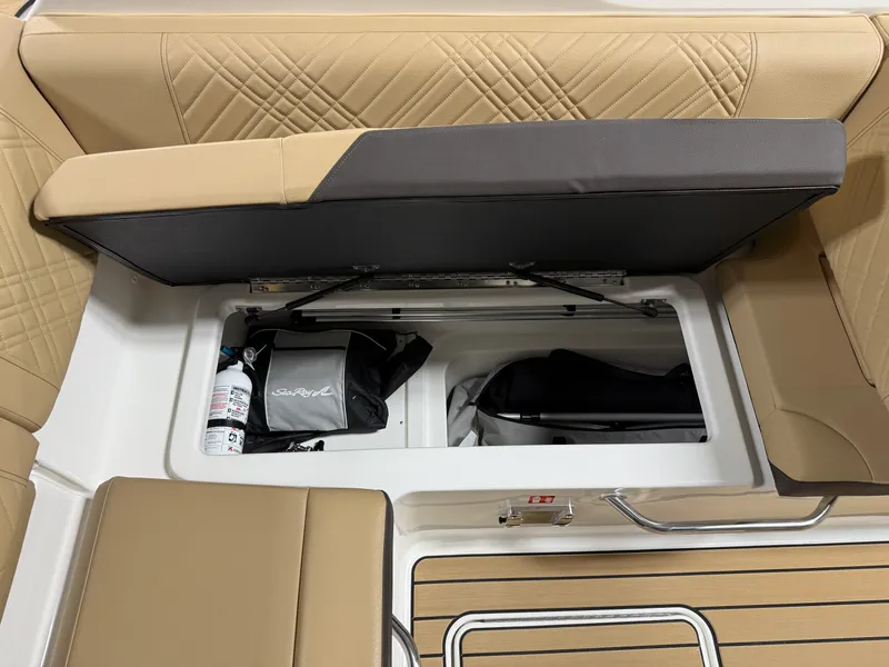 Slide: The Image of Sea Ray SDX 230 2026 - 37