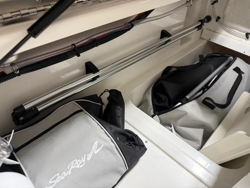 Slide: The Image of Sea Ray SDX 230 2026 - 39