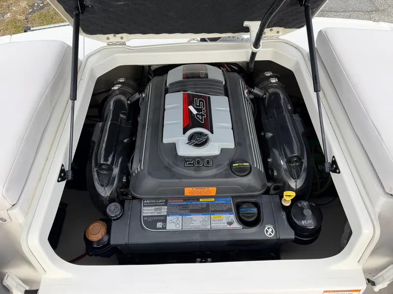 Slide: The Image of Chaparral 19 FISH AND SKI 2019 - 11