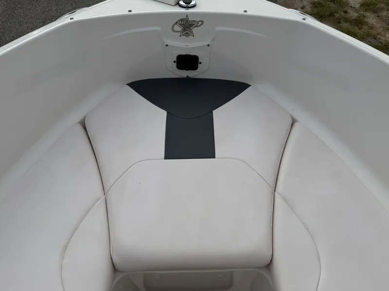 Slide: The Image of Chaparral 19 FISH AND SKI 2019 - 30