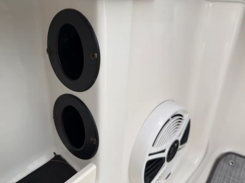 Slide: The Image of Chaparral 19 FISH AND SKI 2019 - 32