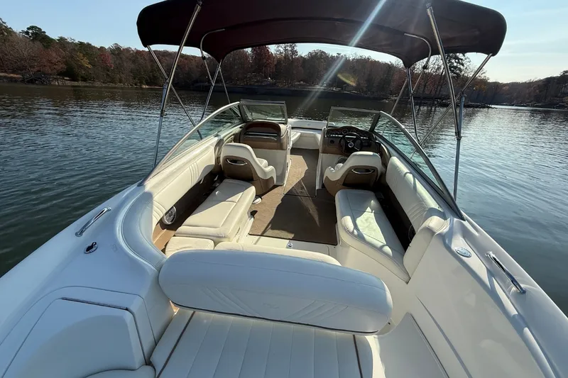 Slide: The Image of Cobalt 252 2008 - 16