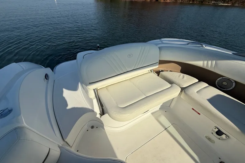 Slide: The Image of Cobalt 252 2008 - 18