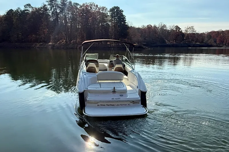 Slide: The Image of Cobalt 252 2008 - 2