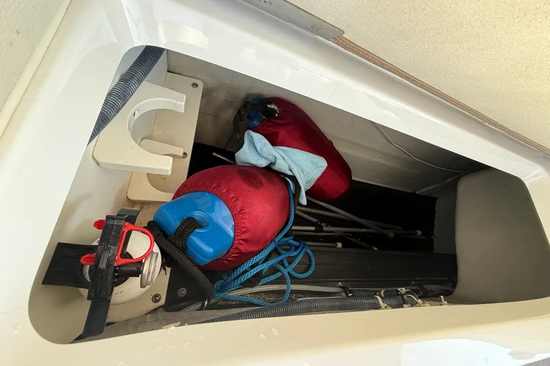 Slide: The Image of Cobalt 252 2008 - 20