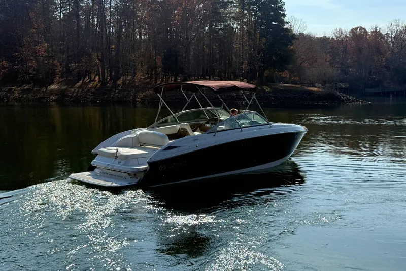 Slide: The Image of Cobalt 252 2008 - 3