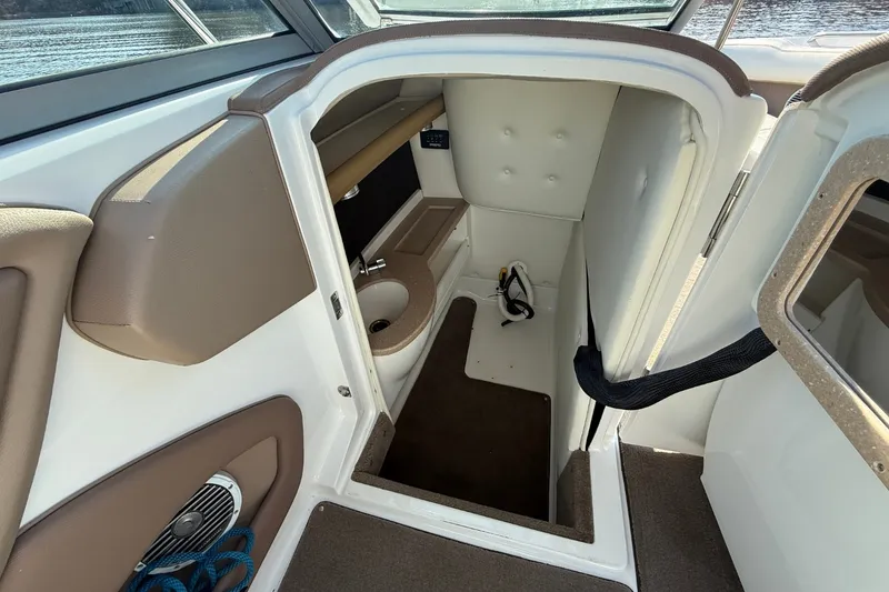 Slide: The Image of Cobalt 252 2008 - 38