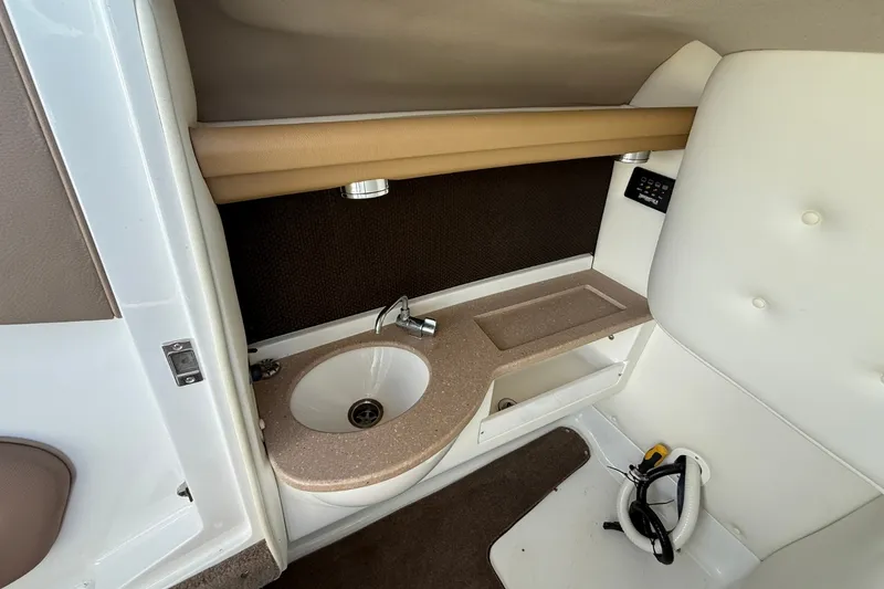 Slide: The Image of Cobalt 252 2008 - 39