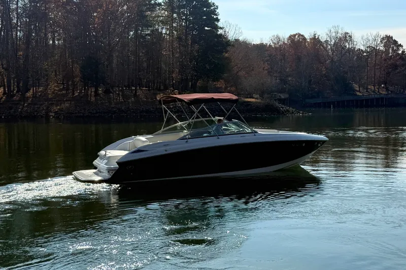 Slide: The Image of Cobalt 252 2008 - 4