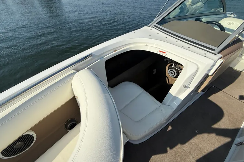 Slide: The Image of Cobalt 252 2008 - 44