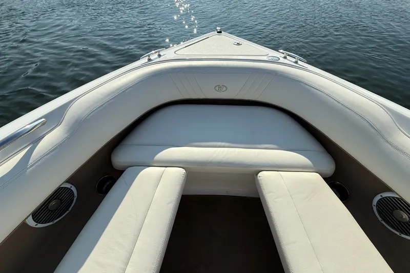 Slide: The Image of Cobalt 252 2008 - 46