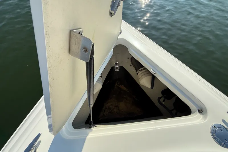 Slide: The Image of Cobalt 252 2008 - 47