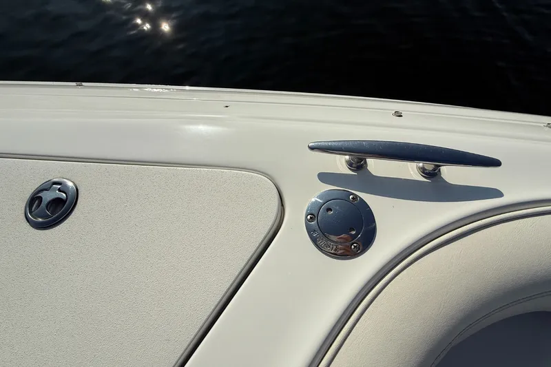 Slide: The Image of Cobalt 252 2008 - 48