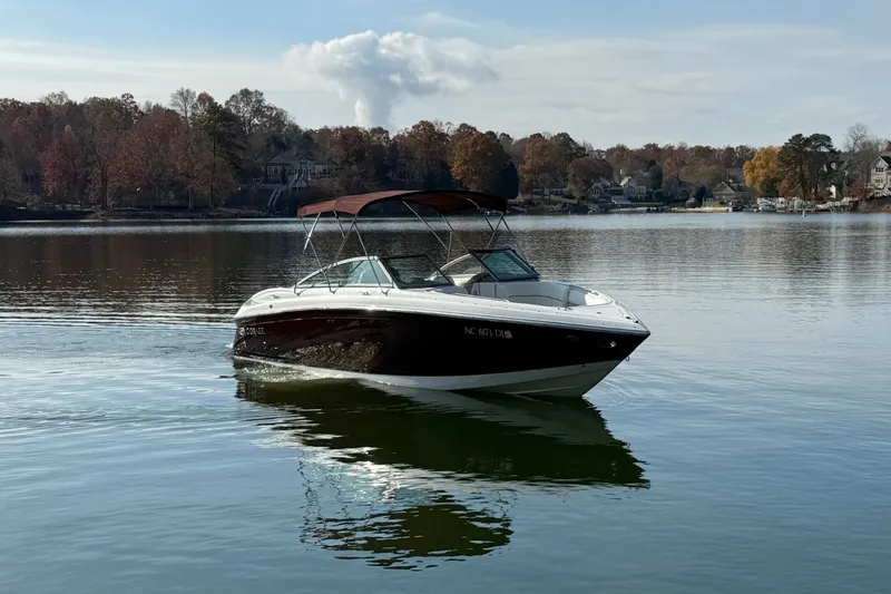 Slide: The Image of Cobalt 252 2008 - 5