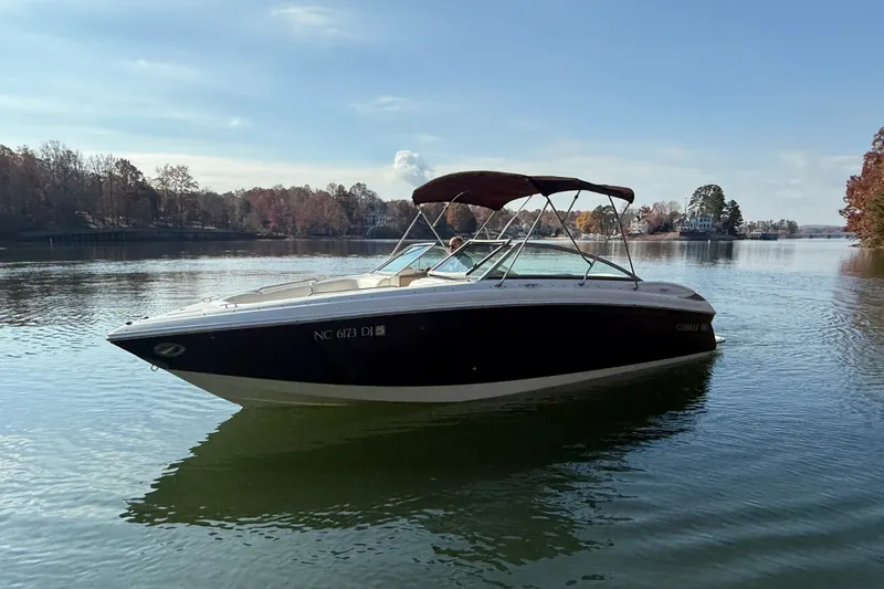 Slide: The Image of Cobalt 252 2008 - 8