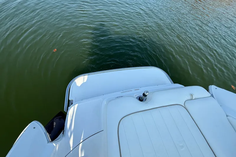 Slide: The Image of Cobalt 252 2008 - 9