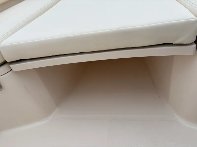 Slide: The Image of Grady-White Fisherman 257 2026 - 8