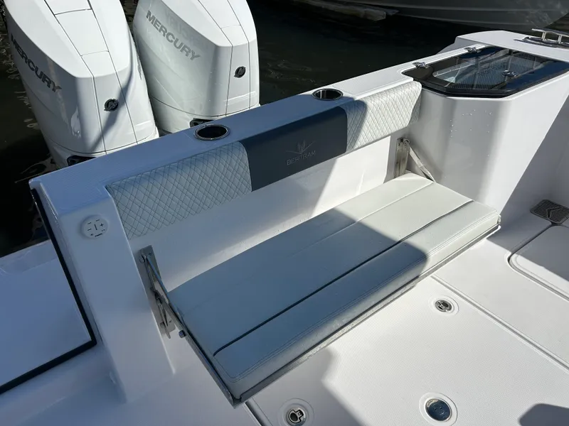 Slide: The Image of Bertram 34CC 2025 - 10