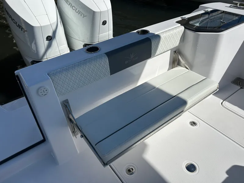 Slide: The Image of Bertram 34CC 2025 - 11