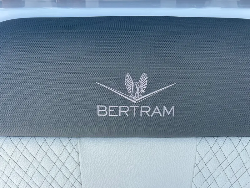 Slide: The Image of Bertram 34CC 2025 - 19