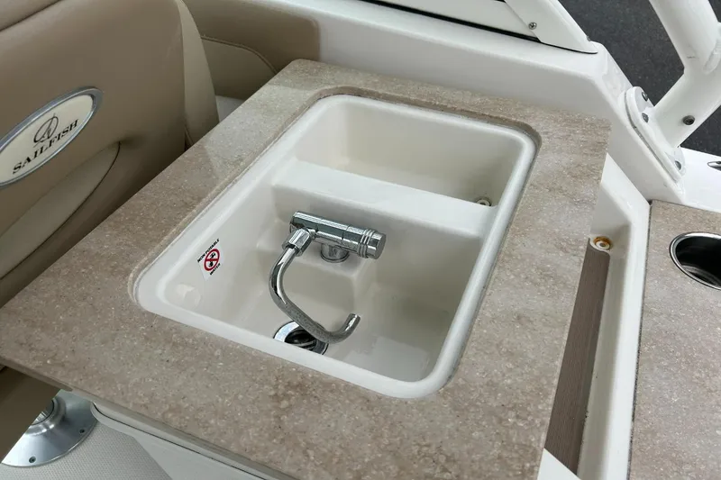 Slide: The Image of Sailfish 245 DC 2021 - 18