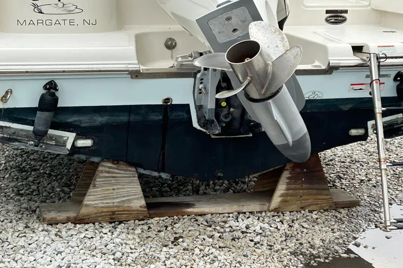 Slide: The Image of Sailfish 245 DC 2021 - 2