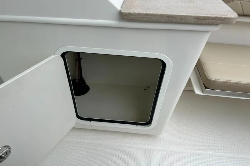 Slide: The Image of Sailfish 245 DC 2021 - 31