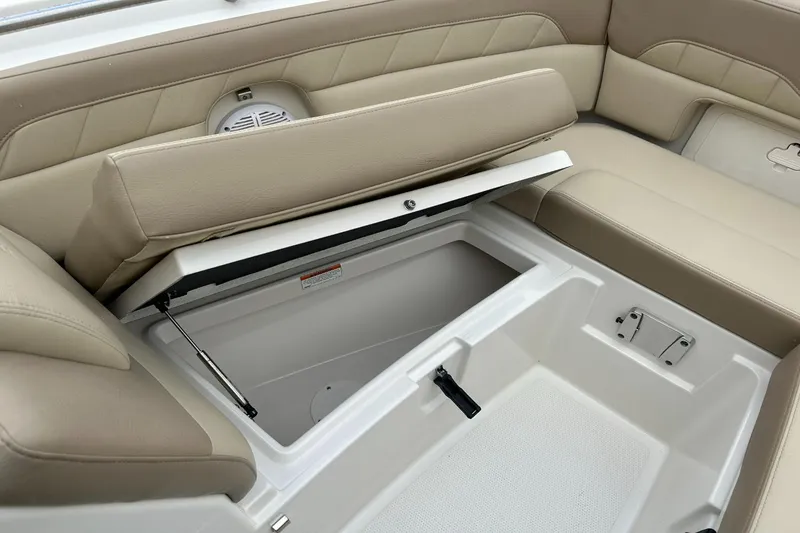 Slide: The Image of Sailfish 245 DC 2021 - 34