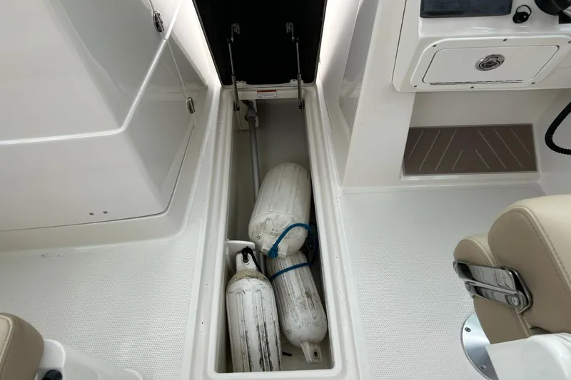 Slide: The Image of Sailfish 245 DC 2021 - 37