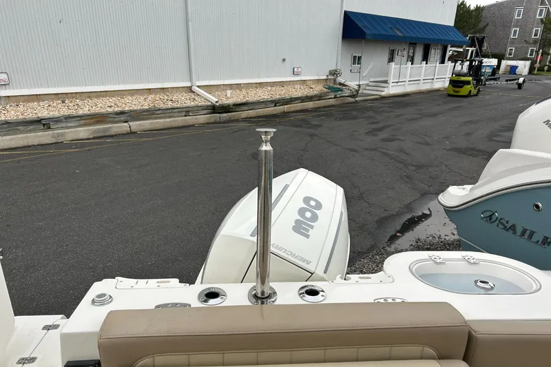 Slide: The Image of Sailfish 245 DC 2021 - 4