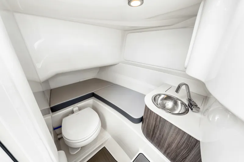 Slide: The Image of Sea Ray SDX 250 Outboard 2025 - 41