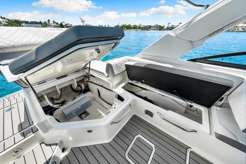 Slide: The Image of Sea Ray SDX 250 Outboard 2025 - 47