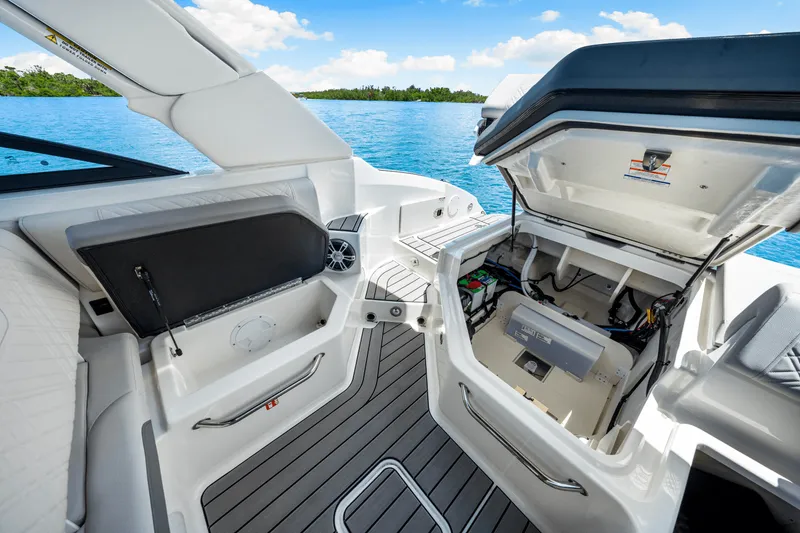 Slide: The Image of Sea Ray SDX 250 Outboard 2025 - 48