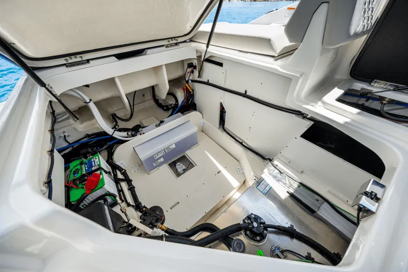 Slide: The Image of Sea Ray SDX 250 Outboard 2025 - 49