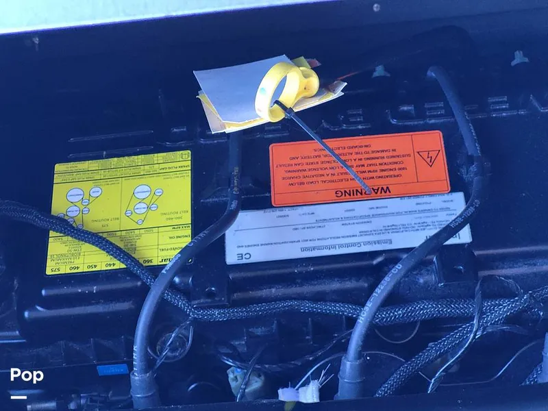 Slide: The Image of Tige Z3 2022 - 13729936