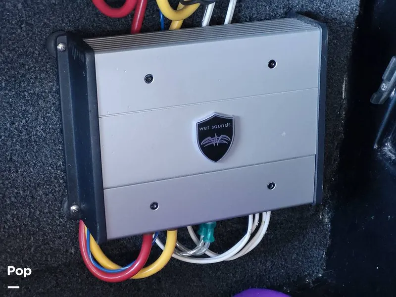 Slide: The Image of Tige Z3 2022 - 13729947