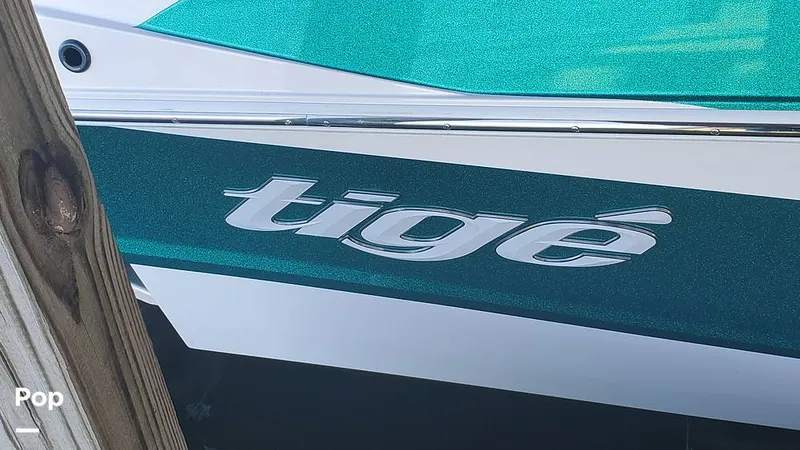 Slide: The Image of Tige Z3 2022 - 13729985