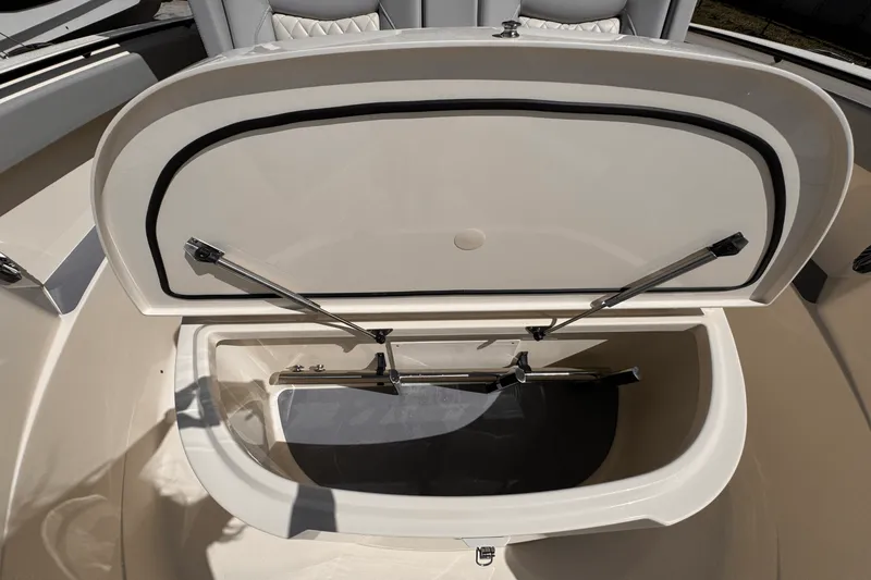 Slide: The Image of Scout 377 LXF 2025 - 19