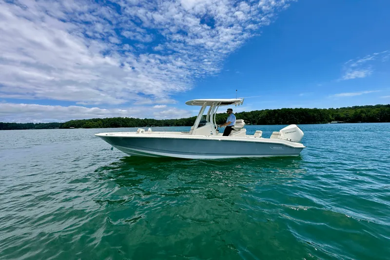 Slide: The Image of Boston Whaler 250 Dauntless 2025 - 0