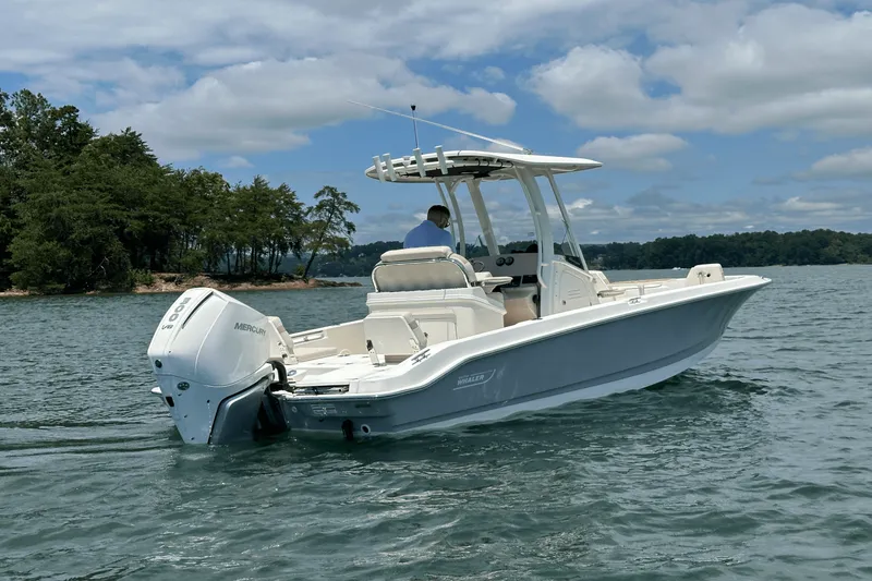 Slide: The Image of Boston Whaler 250 Dauntless 2025 - 10