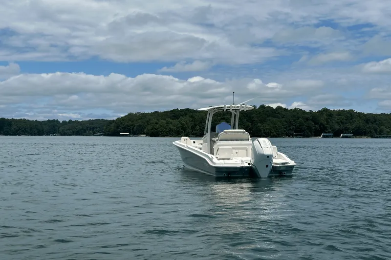 Slide: The Image of Boston Whaler 250 Dauntless 2025 - 12