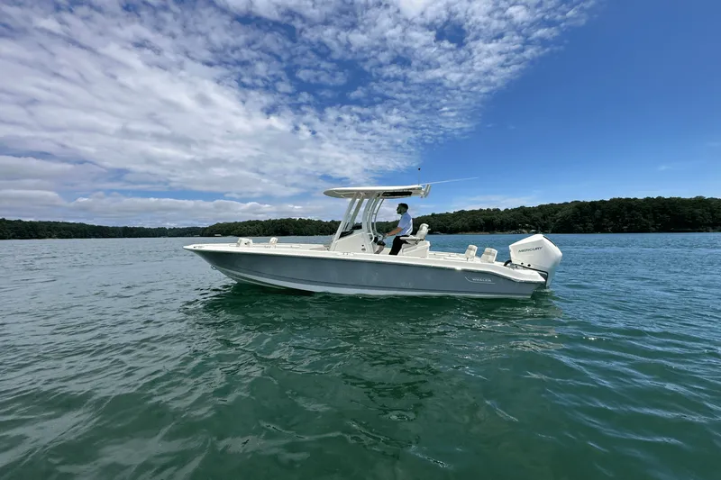 Slide: The Image of Boston Whaler 250 Dauntless 2025 - 14