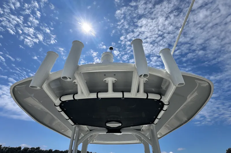 Slide: The Image of Boston Whaler 250 Dauntless 2025 - 15