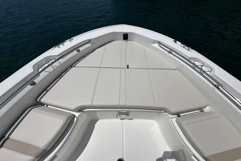 Slide: The Image of Boston Whaler 250 Dauntless 2025 - 16