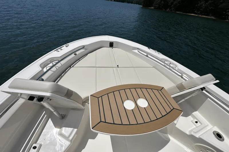 Slide: The Image of Boston Whaler 250 Dauntless 2025 - 17