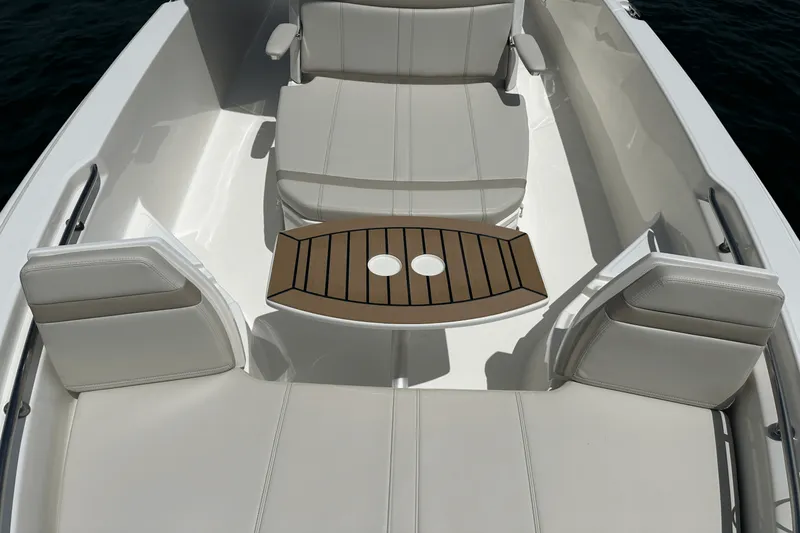 Slide: The Image of Boston Whaler 250 Dauntless 2025 - 18
