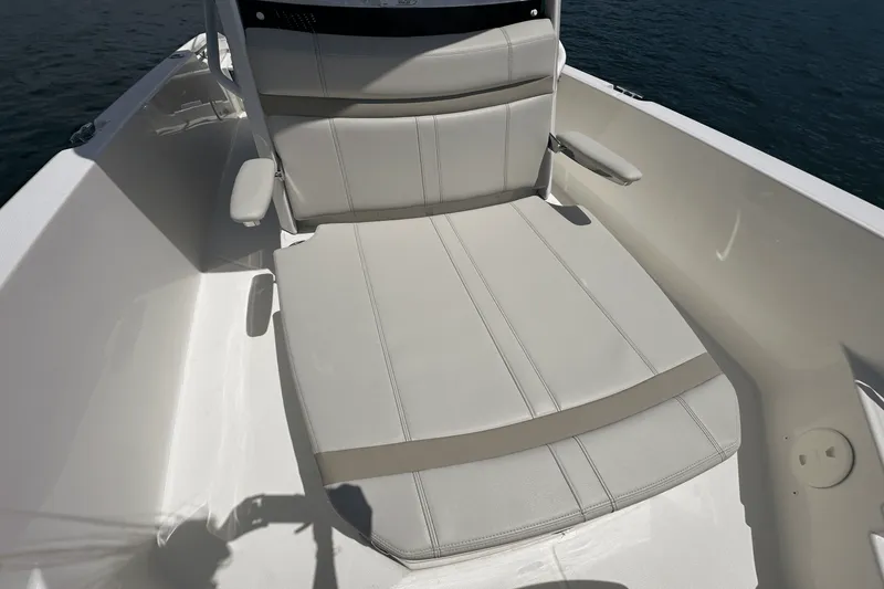 Slide: The Image of Boston Whaler 250 Dauntless 2025 - 19
