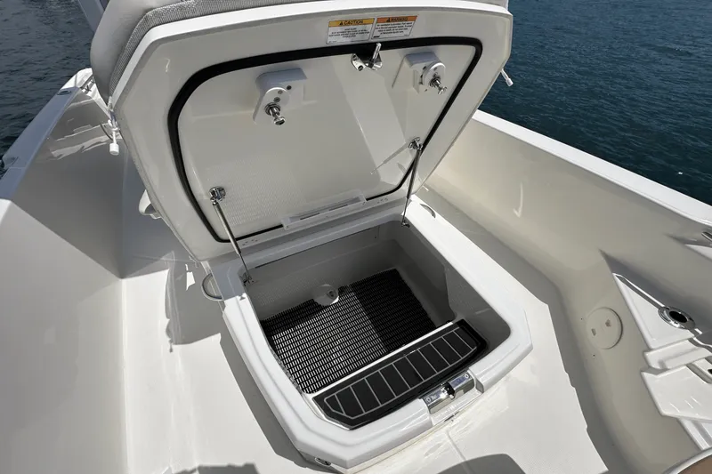 Slide: The Image of Boston Whaler 250 Dauntless 2025 - 20