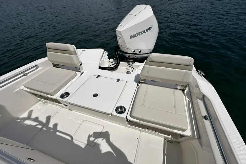 Slide: The Image of Boston Whaler 250 Dauntless 2025 - 21