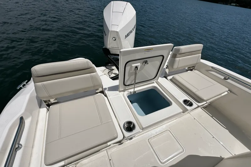 Slide: The Image of Boston Whaler 250 Dauntless 2025 - 22